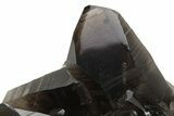 Wide, Free-Standing Smoky Quartz Cluster - Brazil #229587-2